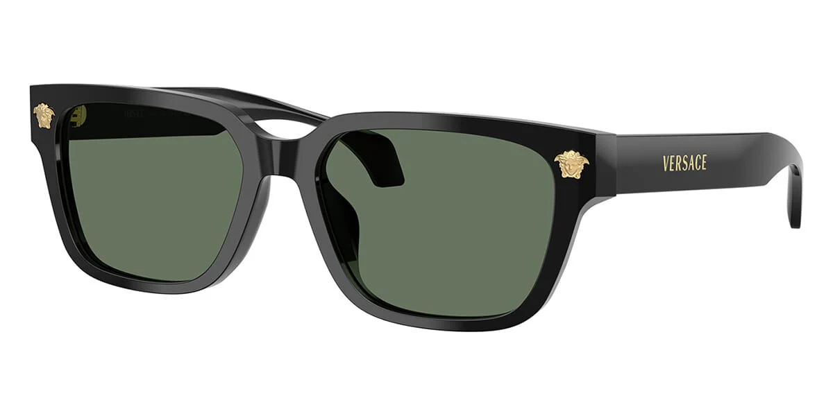 Versace VE4513D